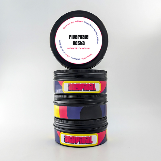 India Riverdale Gesha Brown Tip CM - Filter Roast