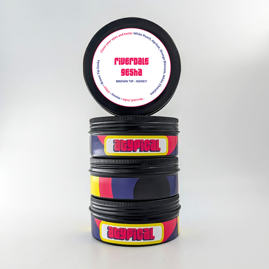India Riverdale Gesha Brown Tip Honey - Filter Roast